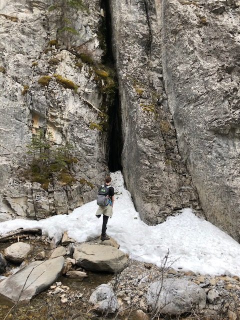 Hiking King Creek Ridge Trails in Kananaskis Country