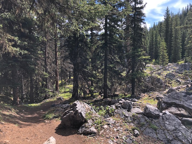 Black Prince Hike And Blackshale Suspension Bridge In Kananaskis