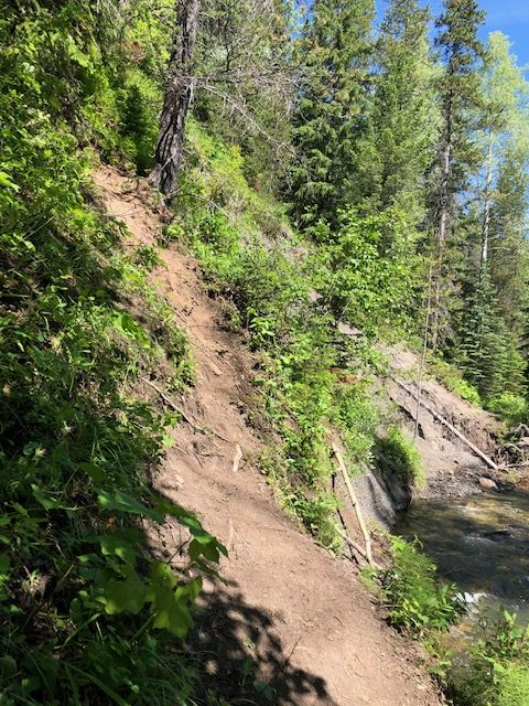 Allison Creek Falls Hike In Crowsnest Pass