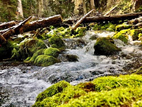 Karst Springs Trail, A Hidden Gem Of The Rockies