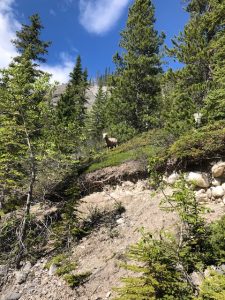 Grassi Lakes Waterfall Hike, What you should know?