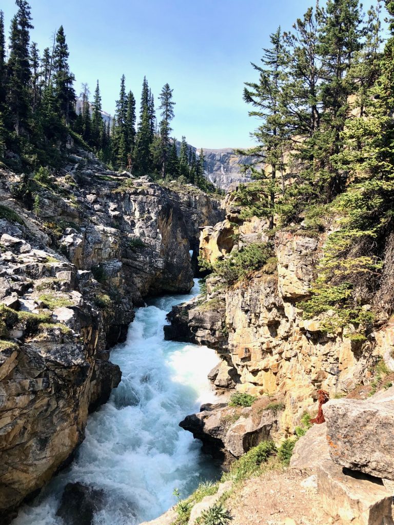 Bow Glacier Falls Hike